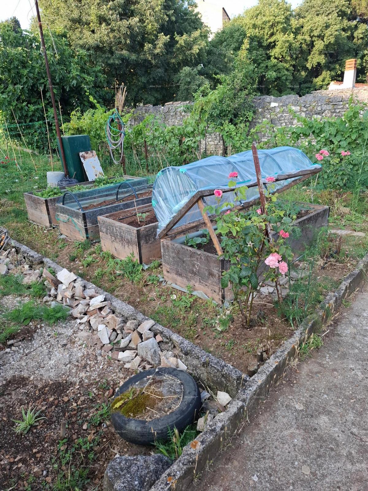 Prostran trosobni stan površine 81 m², Pula