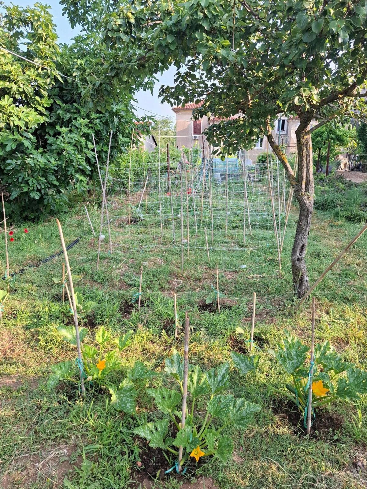 Prostran trosobni stan površine 81 m², Pula