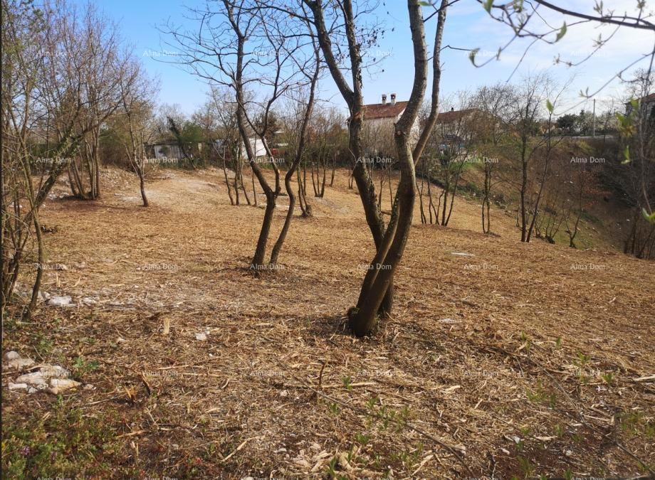 Prodaja -- atraktivno gradbeno zemljišče s pravnomočnim dovoljenjem, Svetvinčenat!