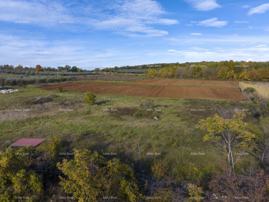 Poreč – 4 gradbene parcele (800–900 m²) na mirni lokaciji