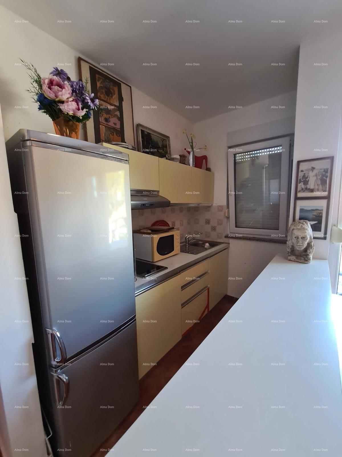 Studio apartma 36 m² – Valbandon, Fažana