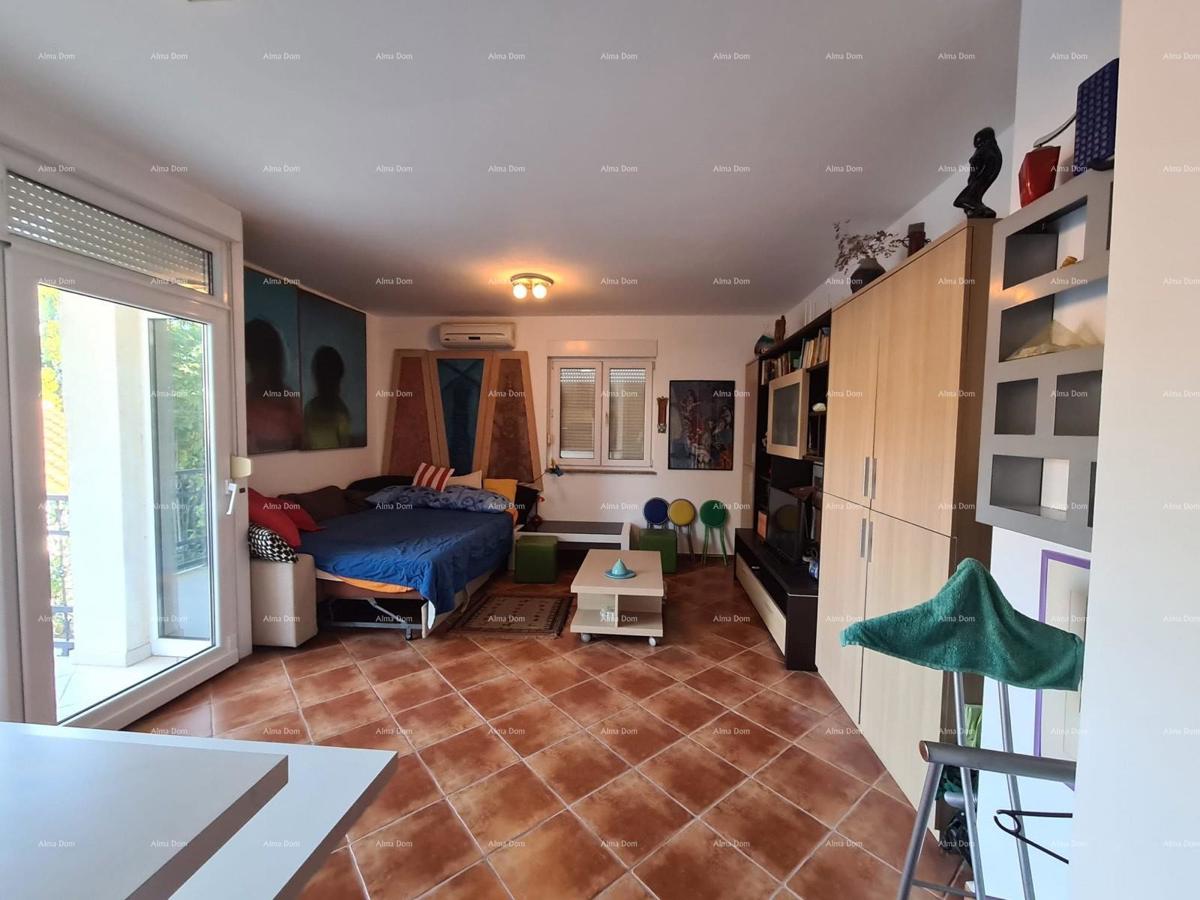 Studio apartma 36 m² – Valbandon, Fažana