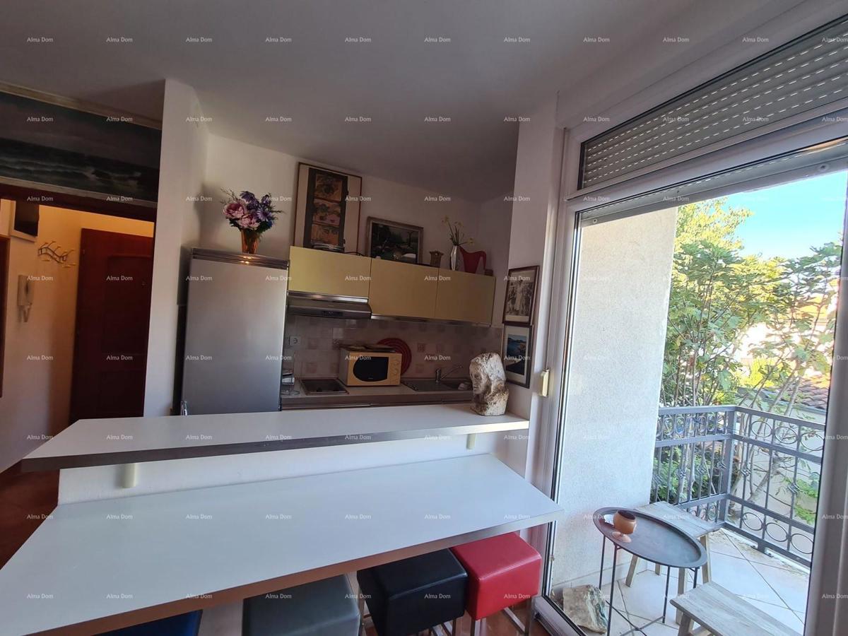 Studio apartma 36 m² – Valbandon, Fažana