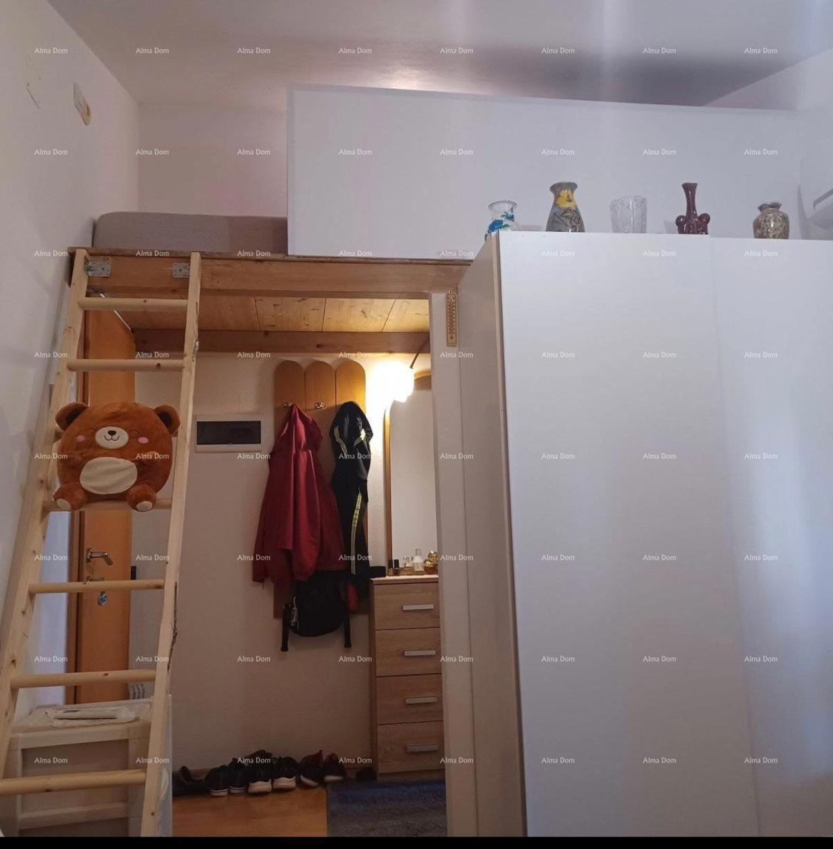 Lep, funkcionalen stan v mirnem delu Medulina