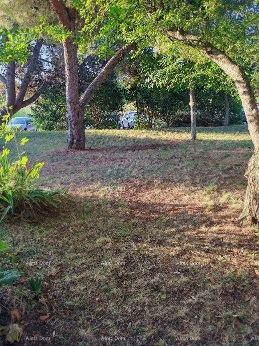 Opremljeno stanovanje z vrtom!