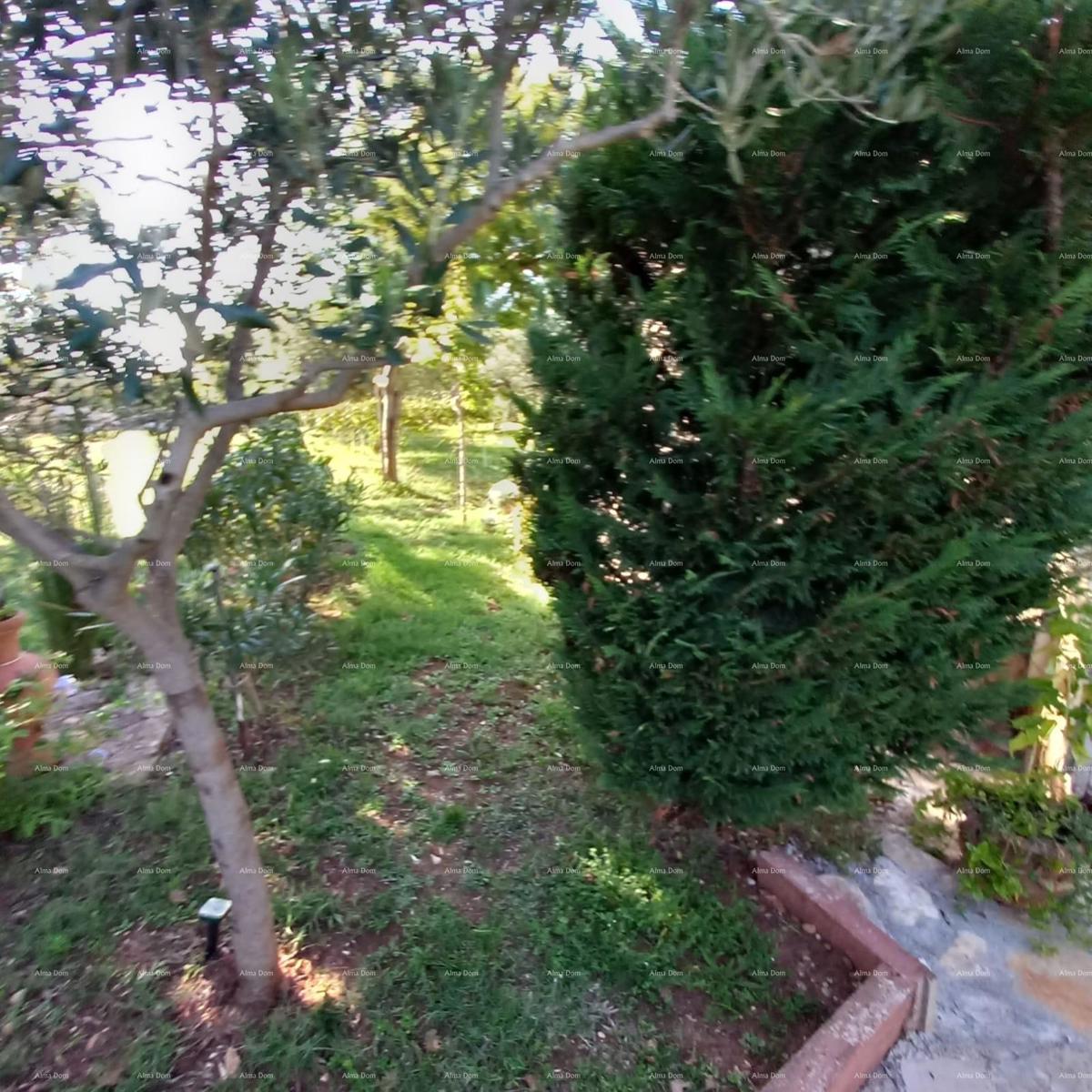 MEDULIN – AVTENTIČNA ISTRSKA HIŠA (KAŽUN) Z VRTOM, 600 M OD MORJA