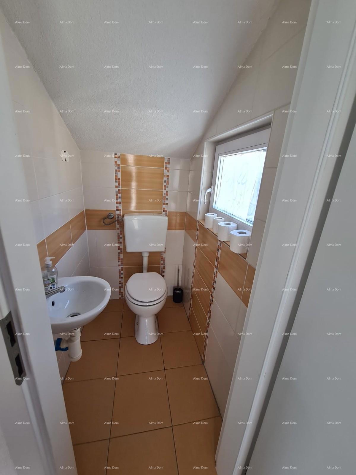 The translation of the title