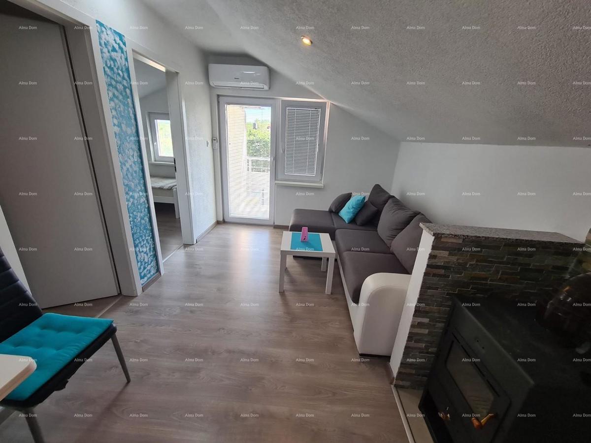 The translation of the title