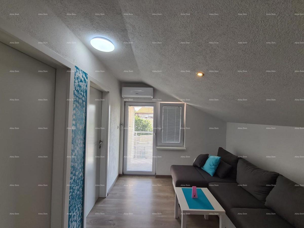 The translation of the title