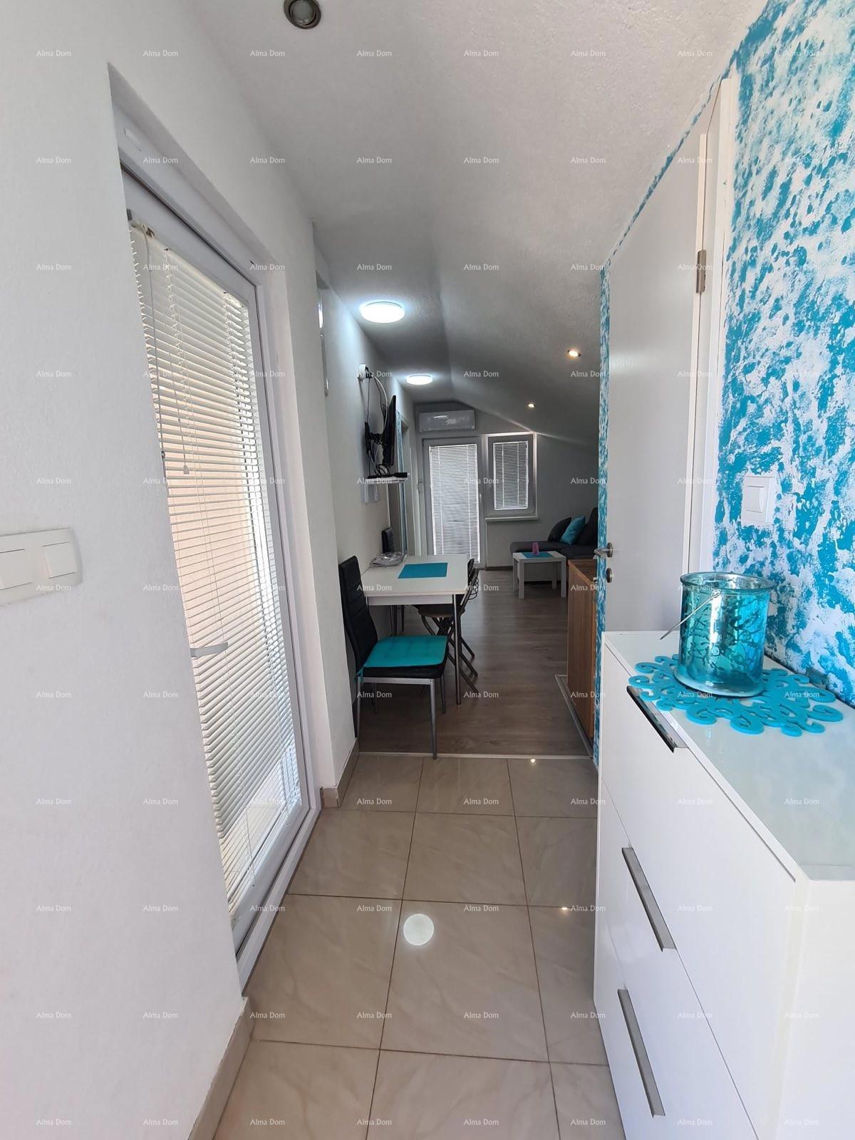 The translation of the title