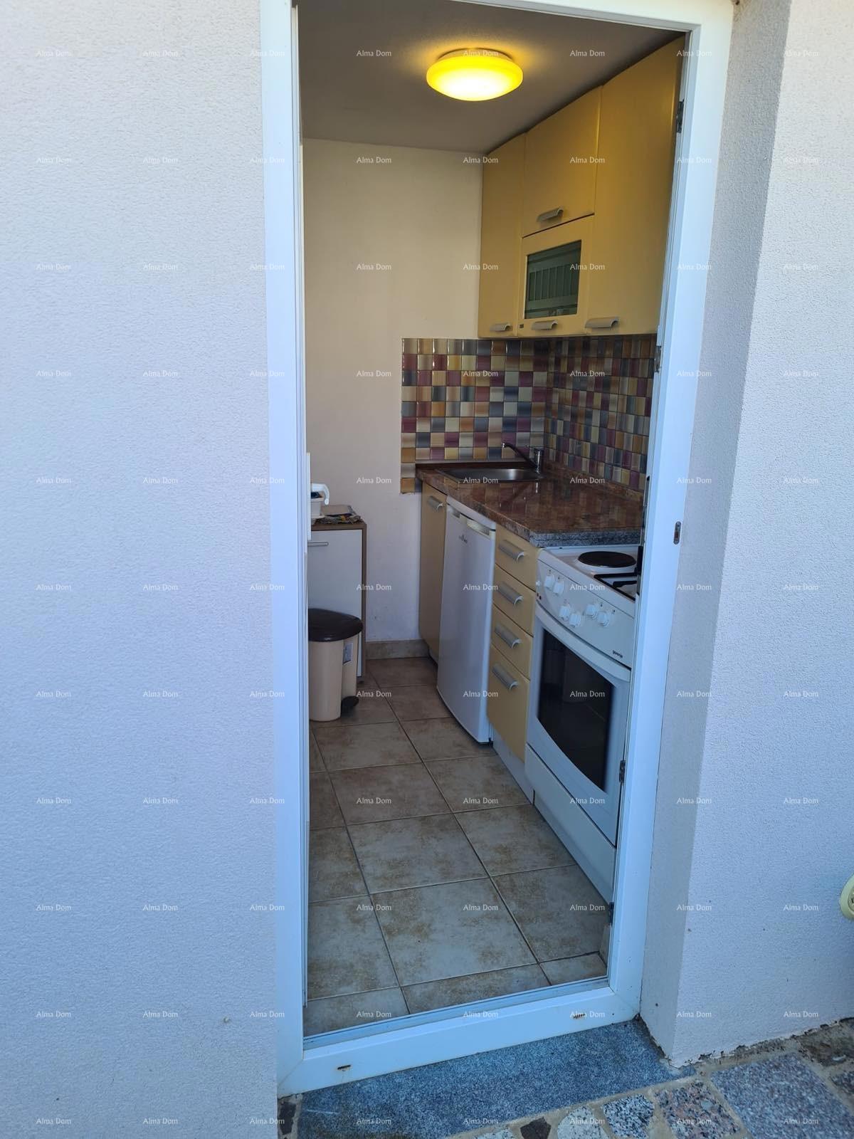 The translation of the title