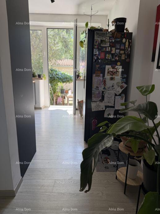 Pula, hiša z dvoriščem in pomožno zgradbo