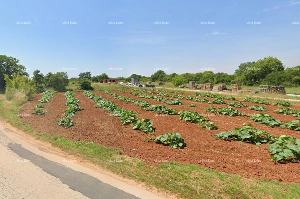 Prodaja - gradbeno zemljišče, Loborika!