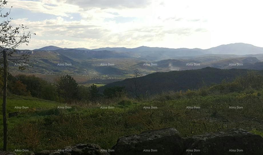 Odlična priložnost! Kamnita hiša za obnovo z veliko parcelo, blizu Buzeta!