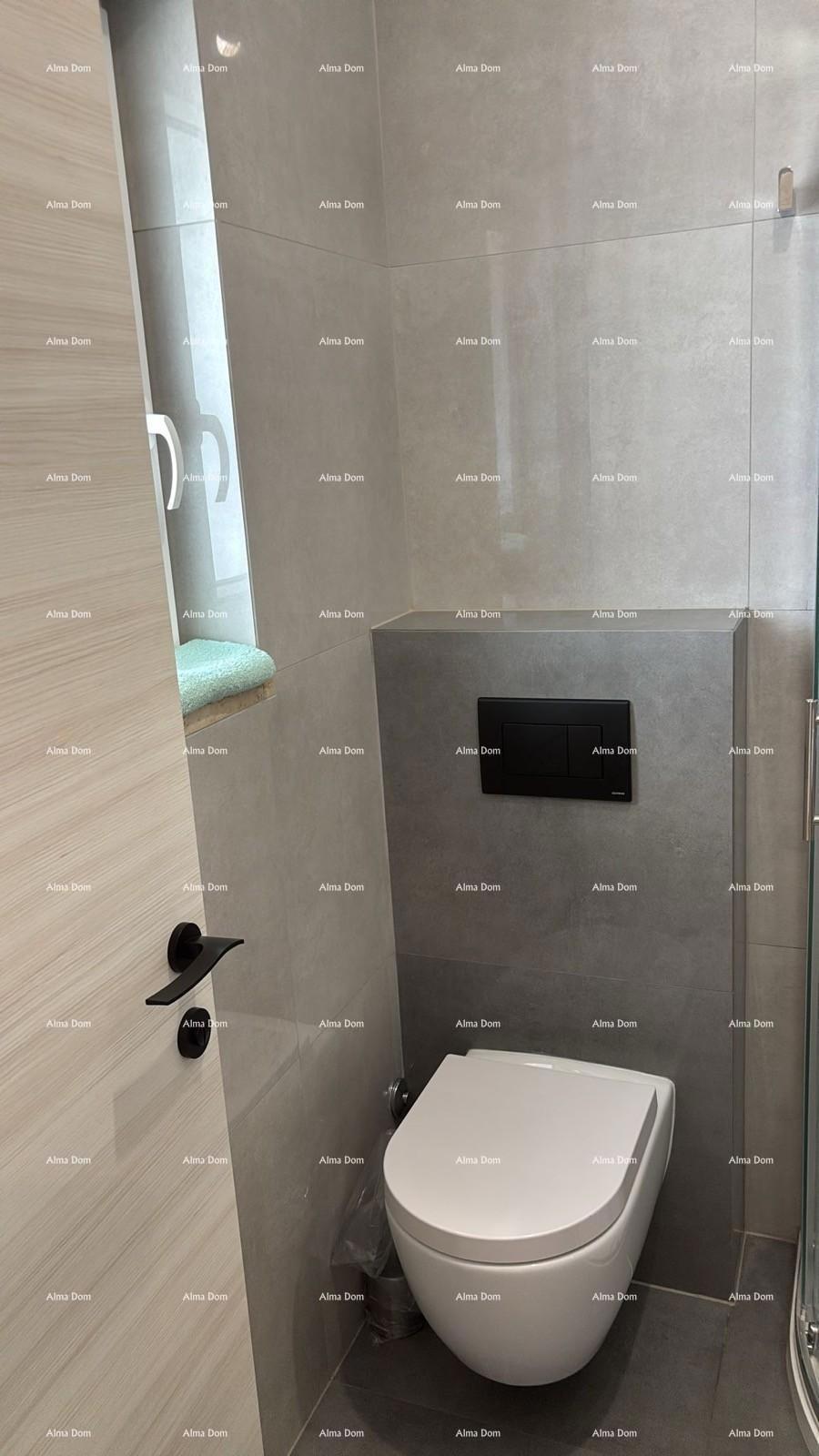 ŠIŠAN, hiša z dvema stanovanjem, 195 m2