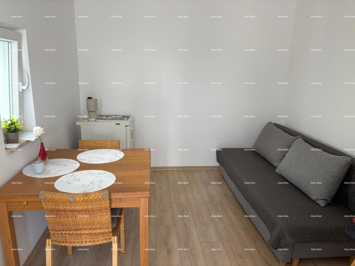 ŠIŠAN, hiša z dvema stanovanjem, 195 m2