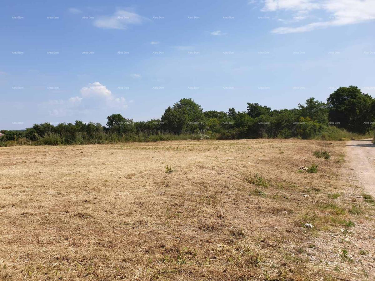 Prostrana gradbena parcela velikosti 1700 m² v Šišanu - idealna priložnost za vaš dom ali naložbo