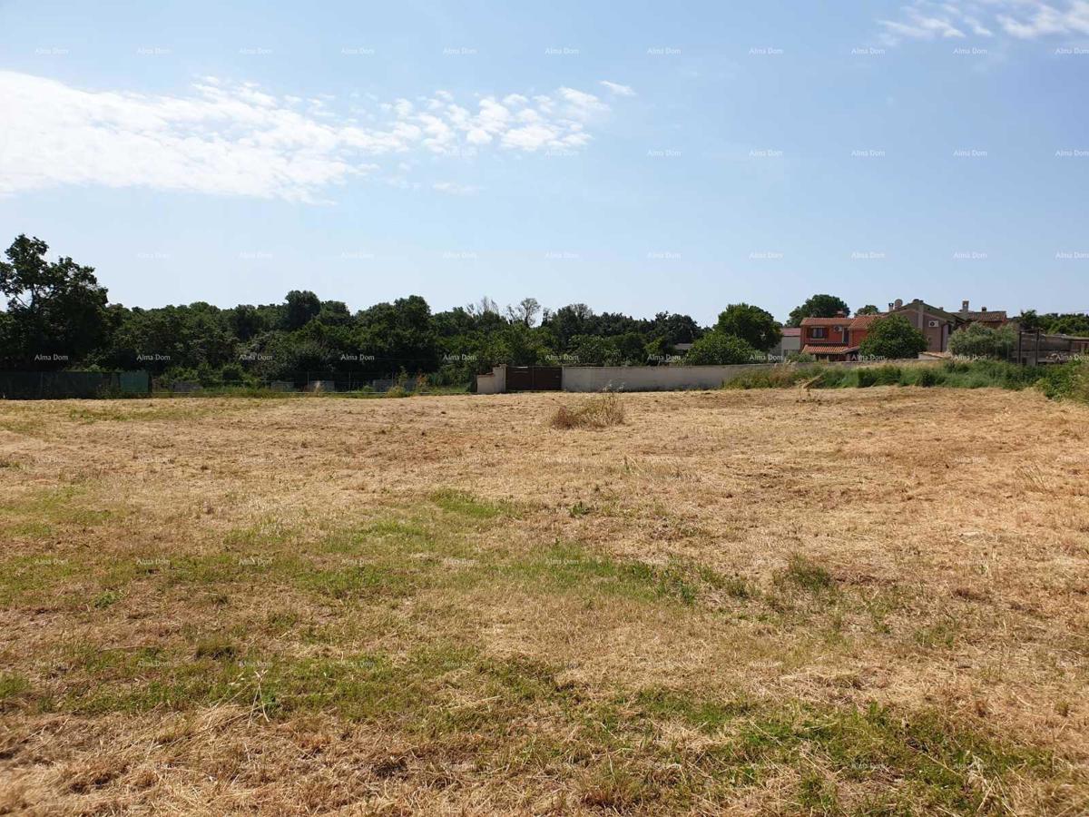 Prostrana gradbena parcela velikosti 1700 m² v Šišanu - idealna priložnost za vaš dom ali naložbo