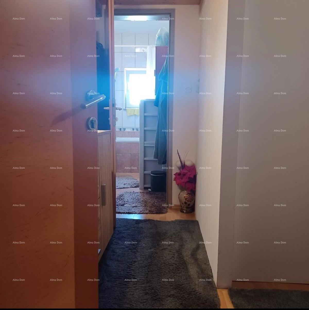 Lep, funkcionalen stan v mirnem delu Medulina