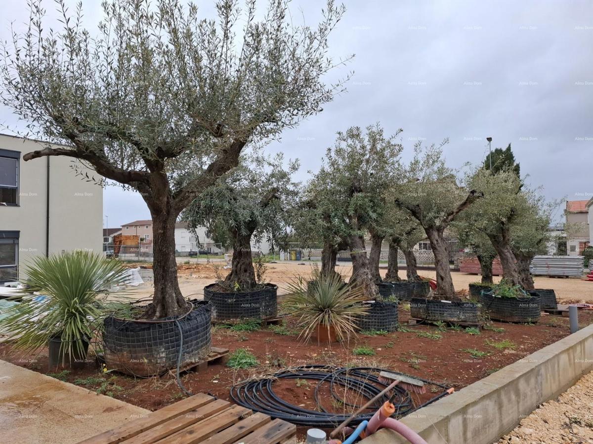 Stanovanjsko-poslovna stavba – Garsonjera S102, Poreč!