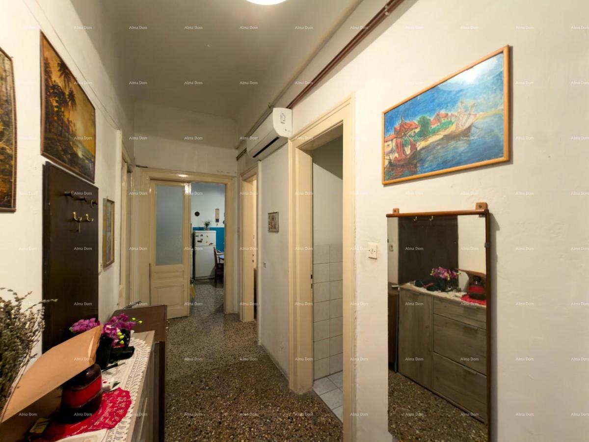 Velik stan v središču Pule!