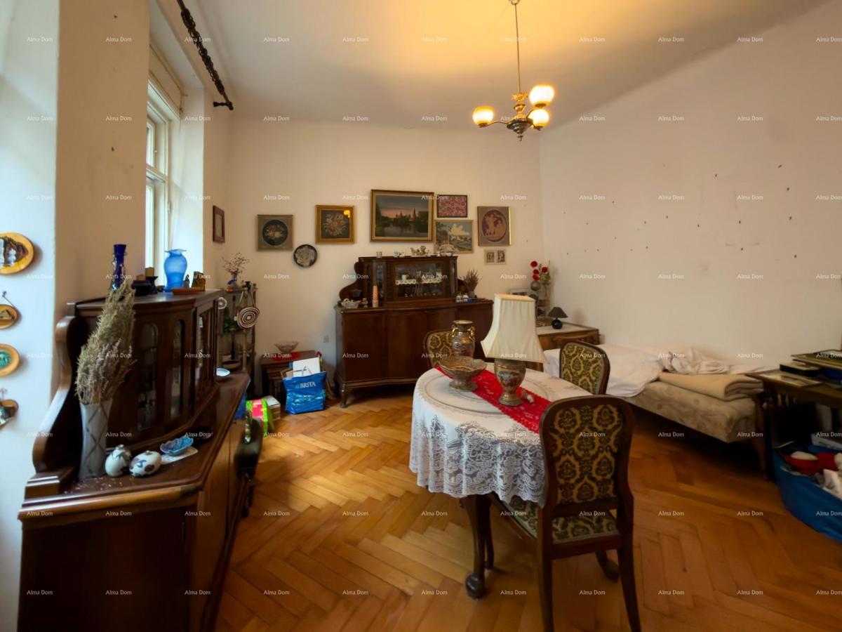 Velik stan v središču Pule!