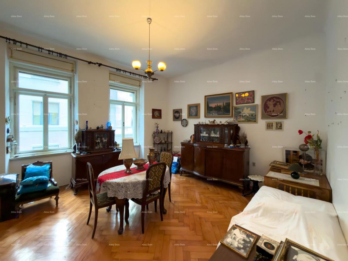 Velik stan v središču Pule!