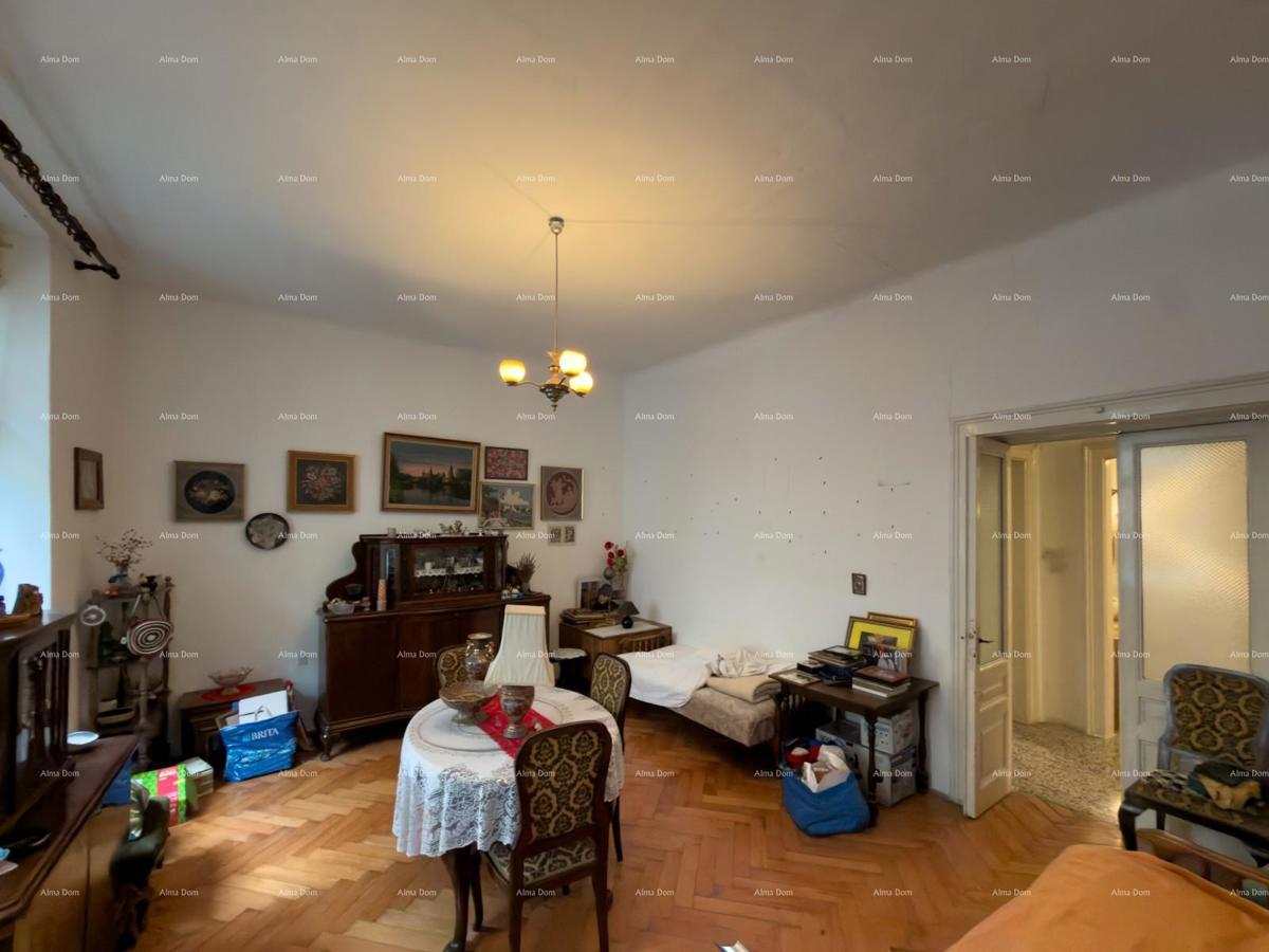 Velik stan v središču Pule!