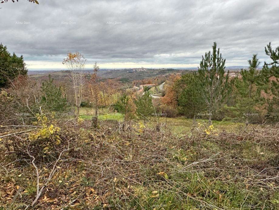 BUJE – GRADBENIŠKO ZEMLJIŠČE 990 m²