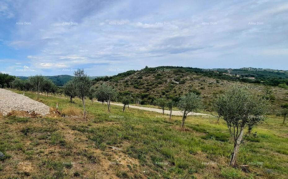 Momjan – prodaja gradbenega zemljišča na odlični lokaciji.