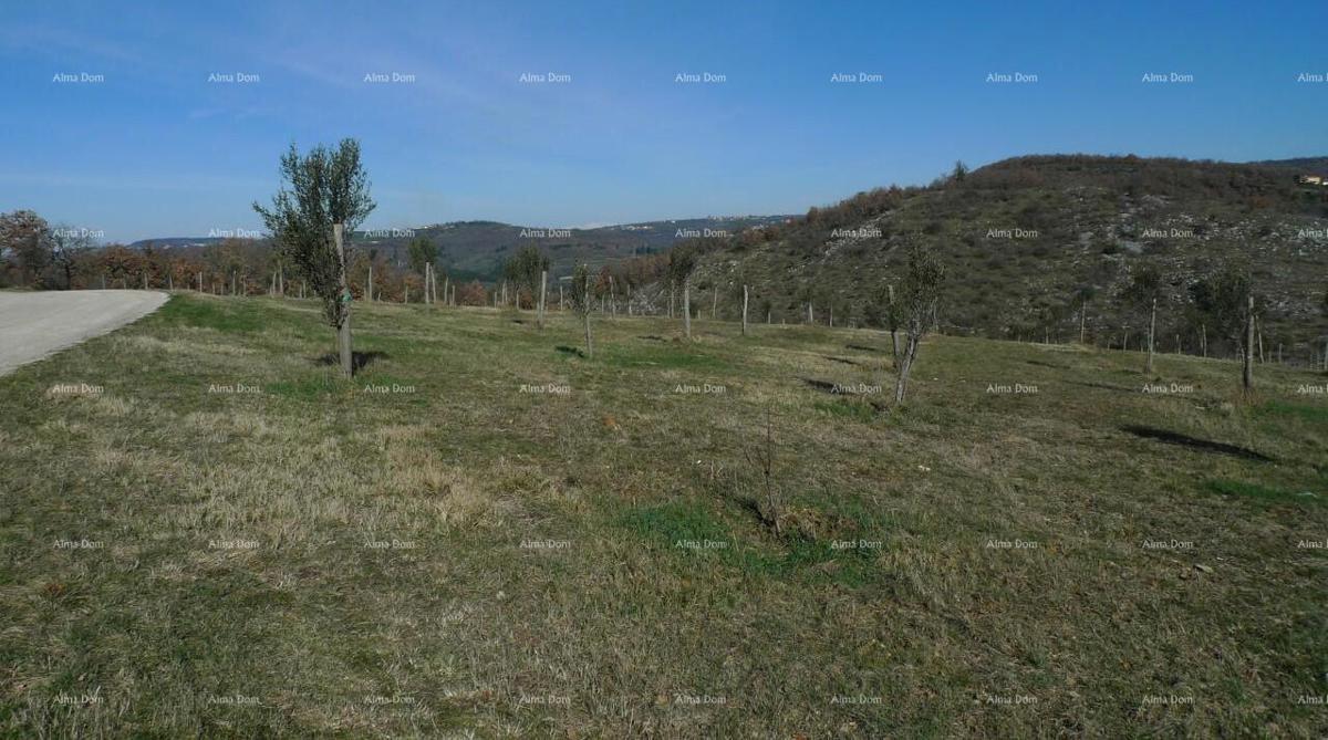 Momjan – prodaja gradbenega zemljišča na odlični lokaciji.