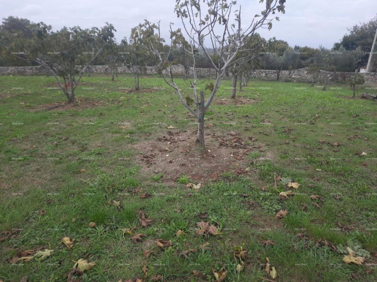 Marčana – gradbena zemljišča 2102 m²