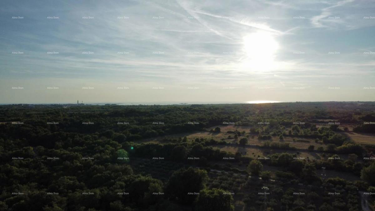 Vodnjan – gradbeno + kmetijsko zemljišče 8000 m2