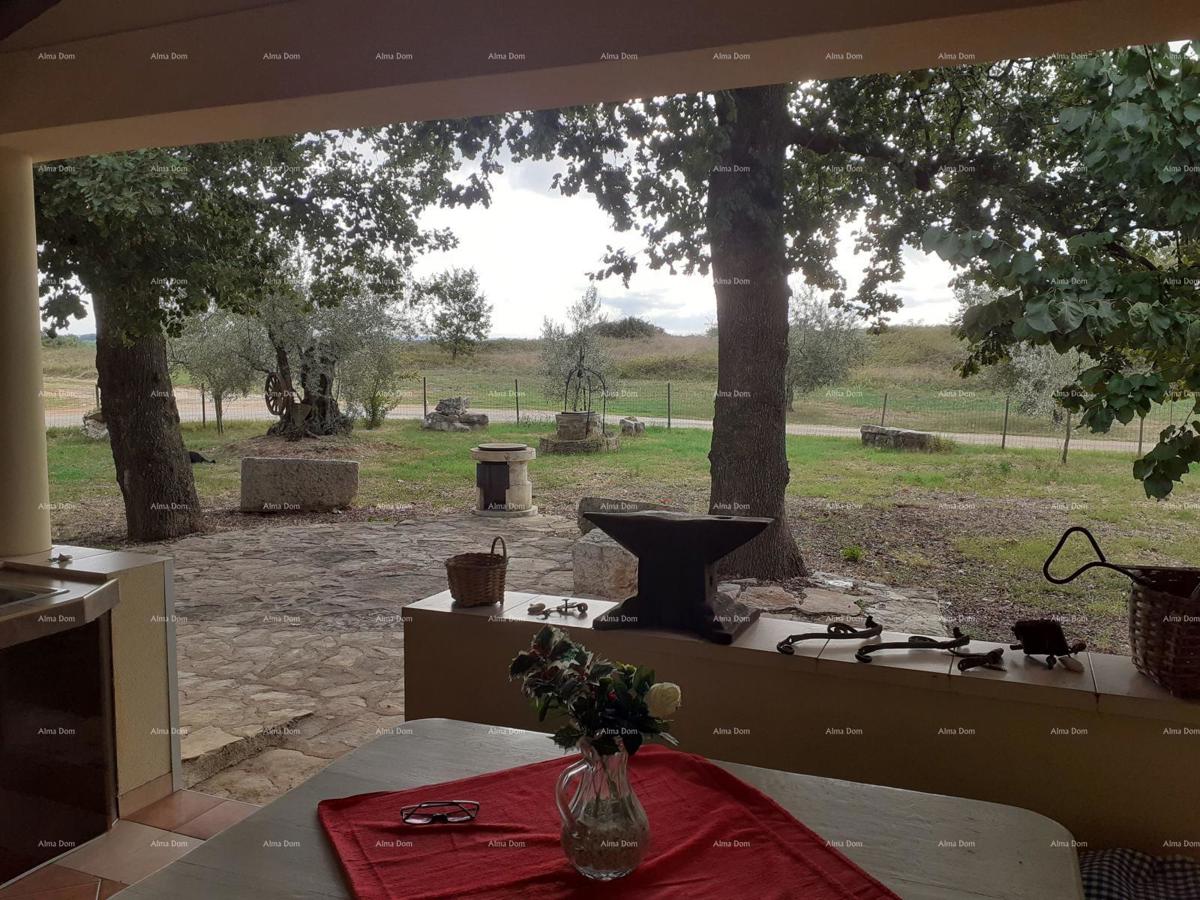 NOVIGRAD - Prodaja dveh stanovanj v družinski hiši