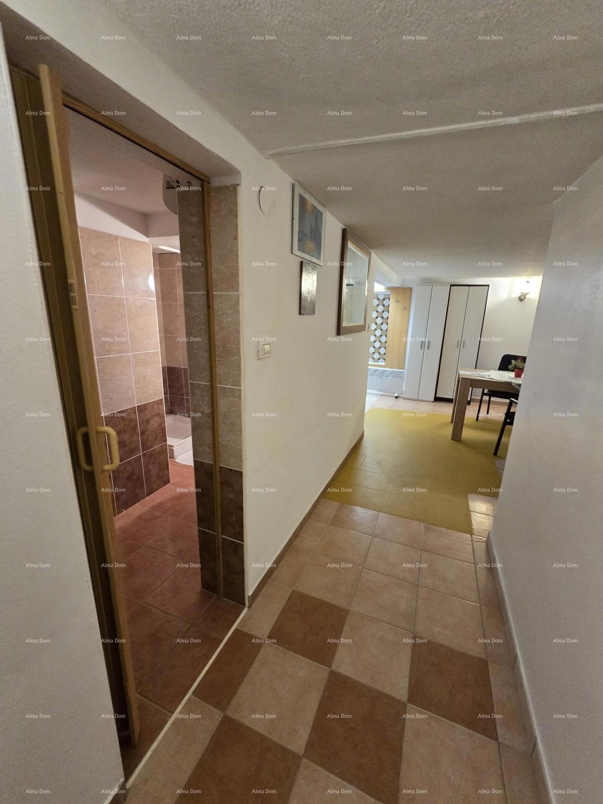 NOVIGRAD - Prodaja dveh stanovanj v družinski hiši