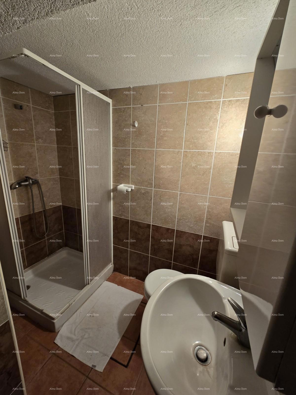 NOVIGRAD - Prodaja dveh stanovanj v družinski hiši