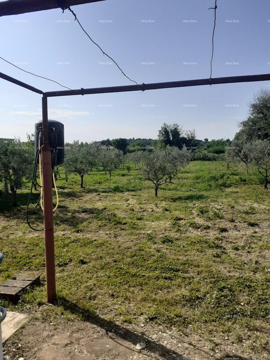 Prodamo dve manjši legalizirani hiši z zemljiščem