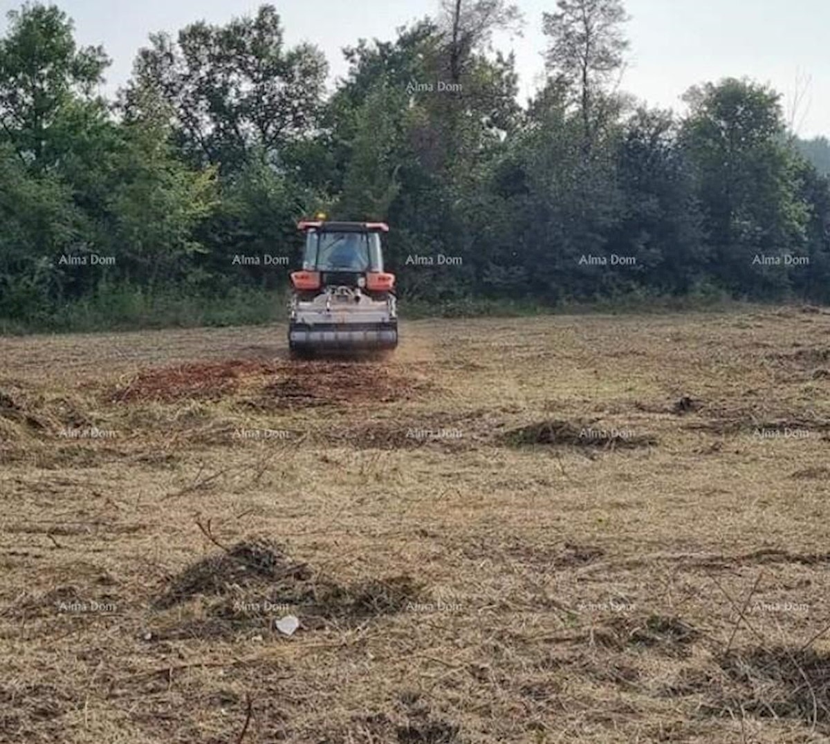 Brtonigla. Zazidljivo zemljišče.