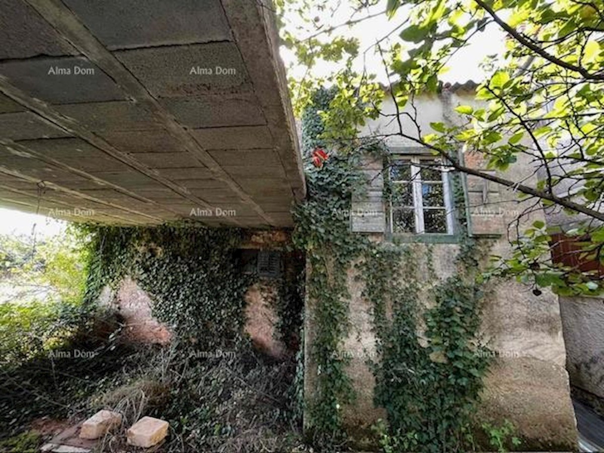 Prodaja stare istrske hiše z velikim gradbenim zemljiščem, Valbandon