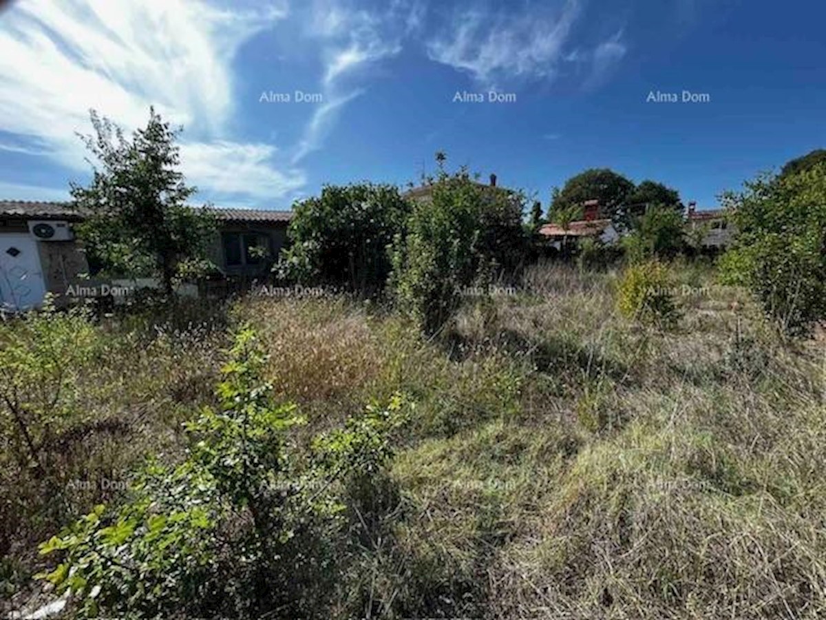 Prodaja stare istrske hiše z velikim gradbenim zemljiščem, Valbandon