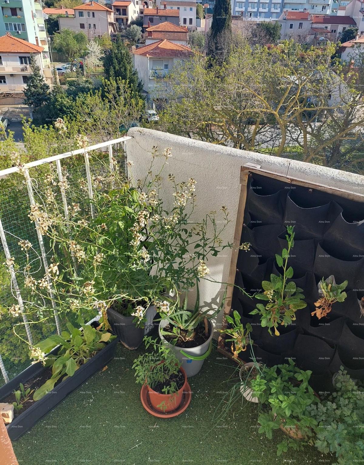 Prodaja renoviranega stanovanja na odlični lokaciji, v bližini centra mesta, Pula!