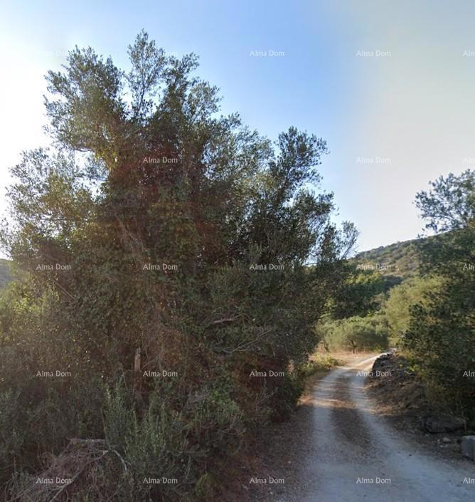 Prodaja gradbenega zemljišča, Vela Luka, Korčula!