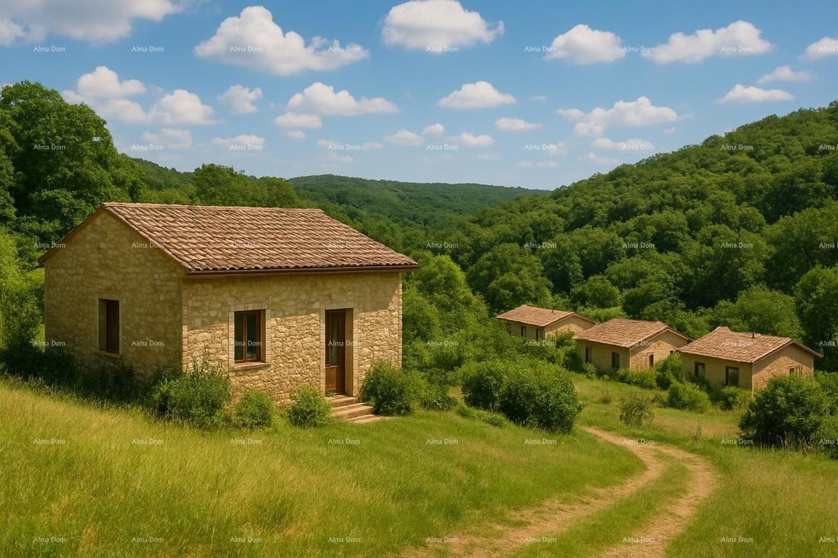 Prodaja - veliko imanje/stanica v osrednji Istri, Pazin! Investicijska priložnost!