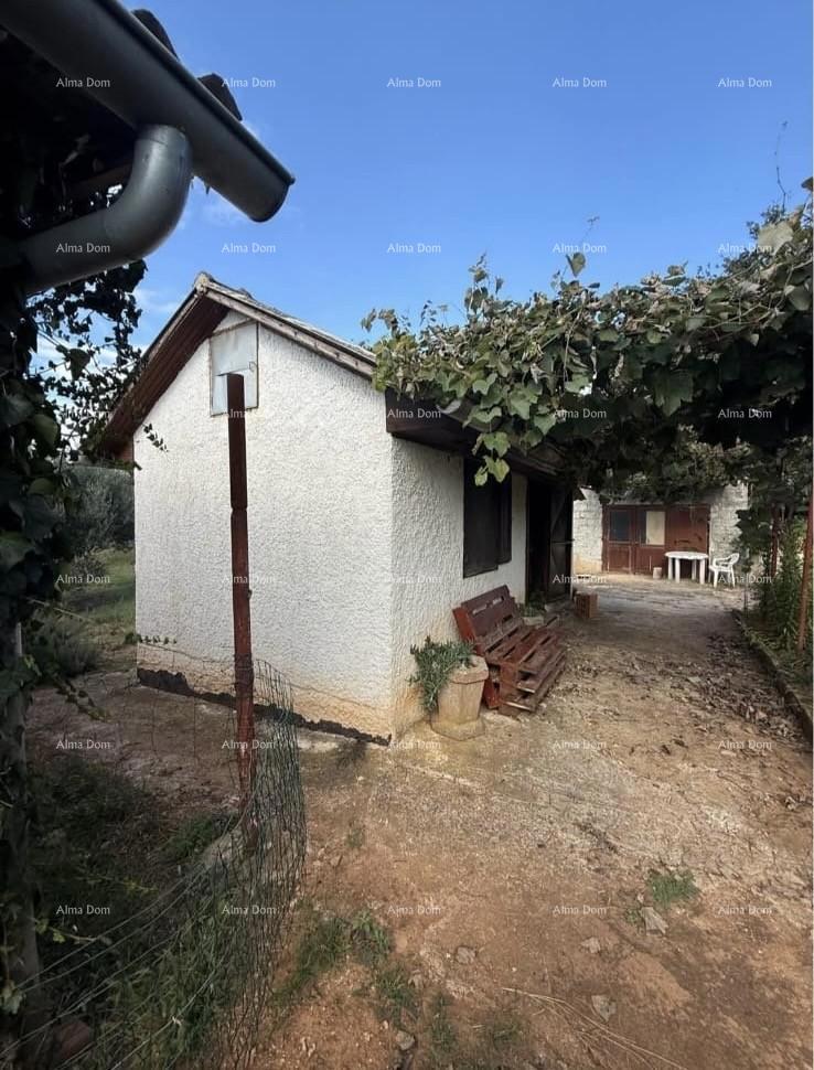 Prodamo dve manjši legalizirani hiši z zemljiščem