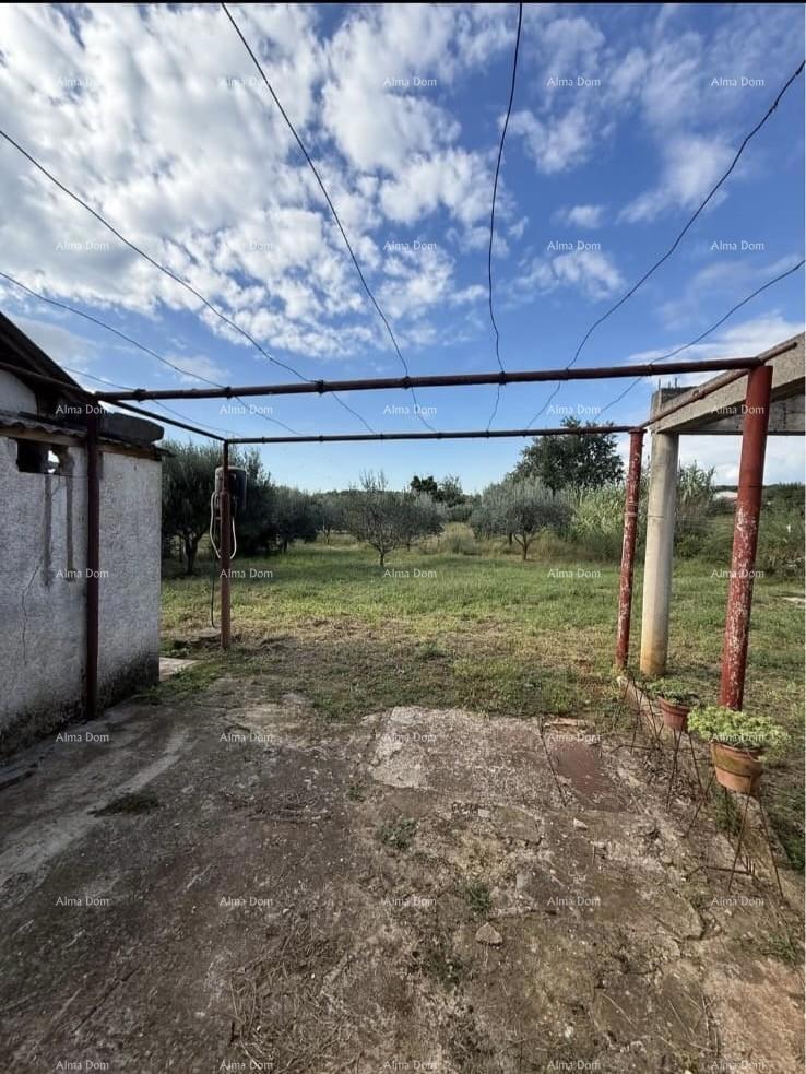 Prodamo dve manjši legalizirani hiši z zemljiščem