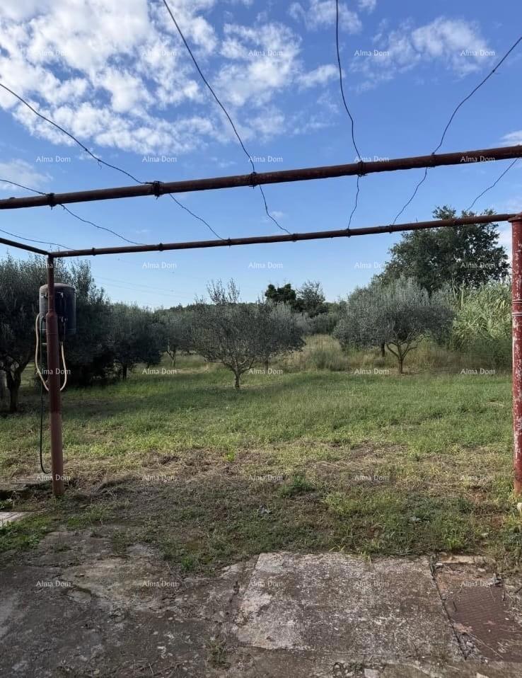 Prodamo dve manjši legalizirani hiši z zemljiščem