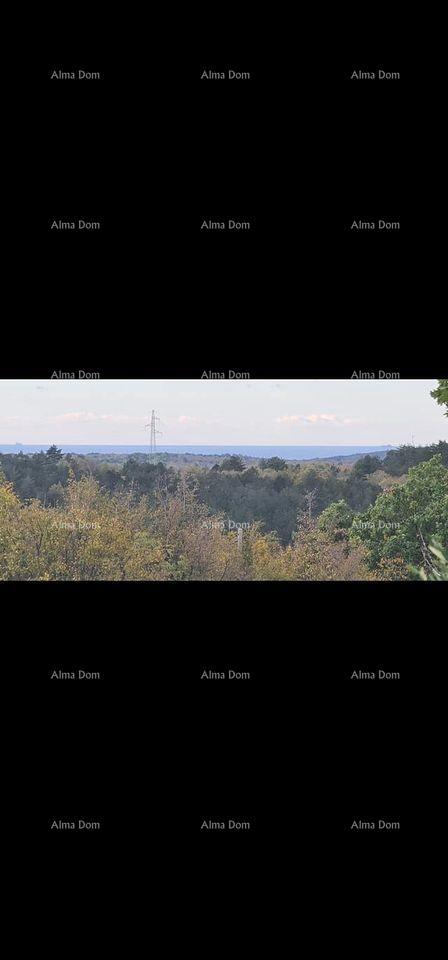 Prodamo istrsko kamnito hišo, Oprtalj