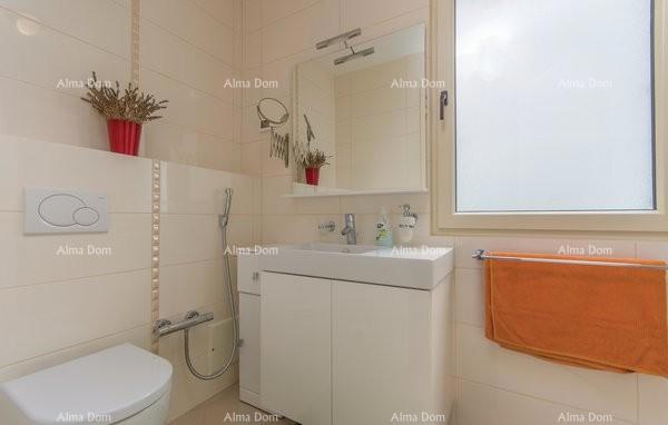 Hiša v Novigradu z bazenom in savno, 1000 m od morja