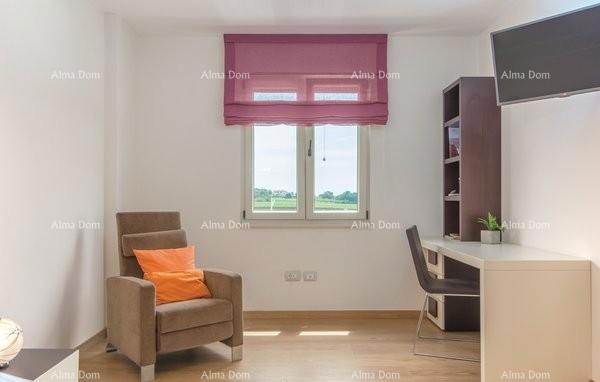 Hiša v Novigradu z bazenom in savno, 1000 m od morja