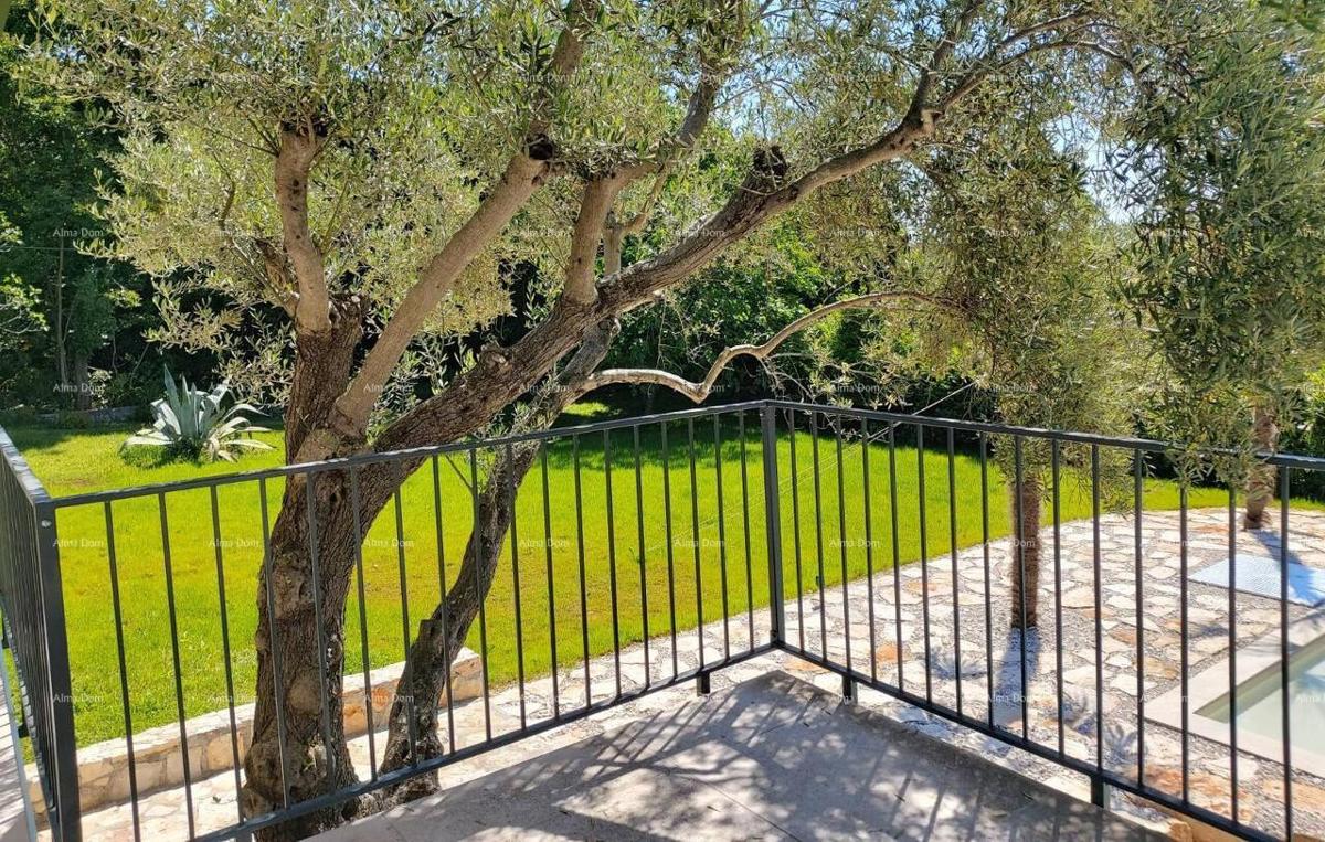 UMAG – Hiša s bazenom in tremi ločenimi apartmaji